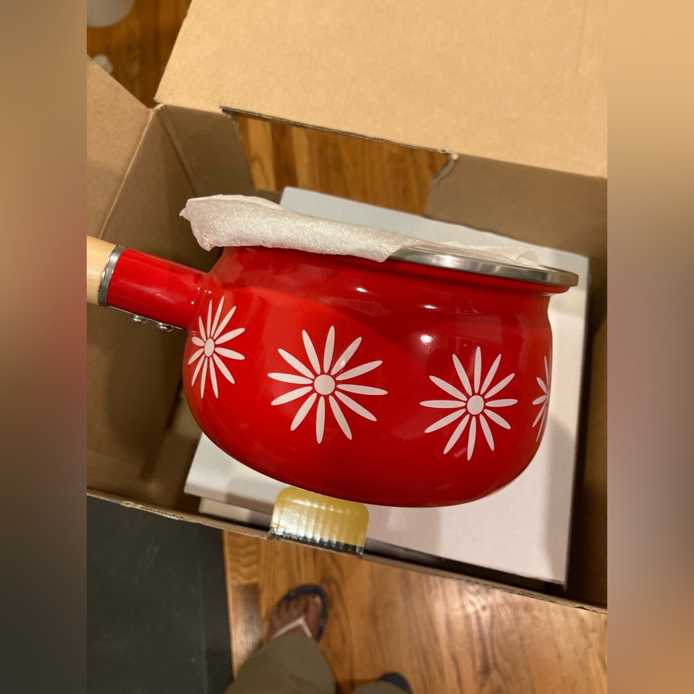 Cost Plus World Market Red Floral Saucepan